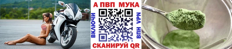 Бошки Шишки Звенигово