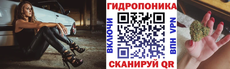 mega маркетплейс  Звенигово  Бошки марихуана планчик 